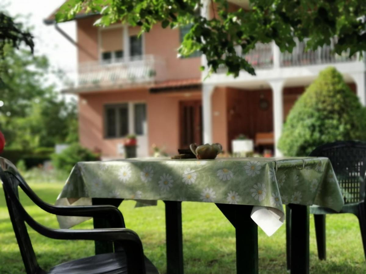 Apartments Domacinstvo Nikolic Valjevo Extérieur photo