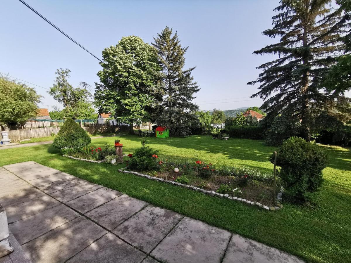 Apartments Domacinstvo Nikolic Valjevo Extérieur photo