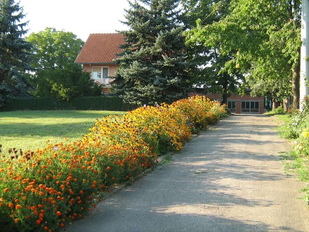 Apartments Domacinstvo Nikolic Valjevo Extérieur photo