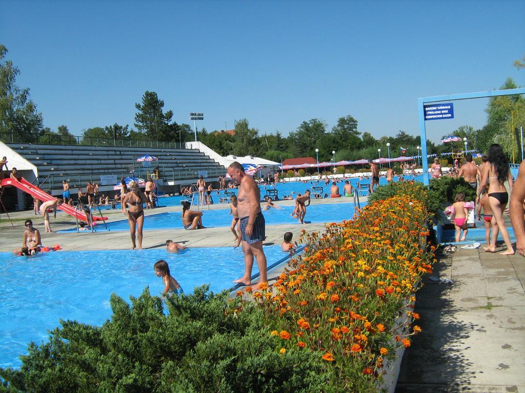 Apartments Domacinstvo Nikolic Valjevo Extérieur photo